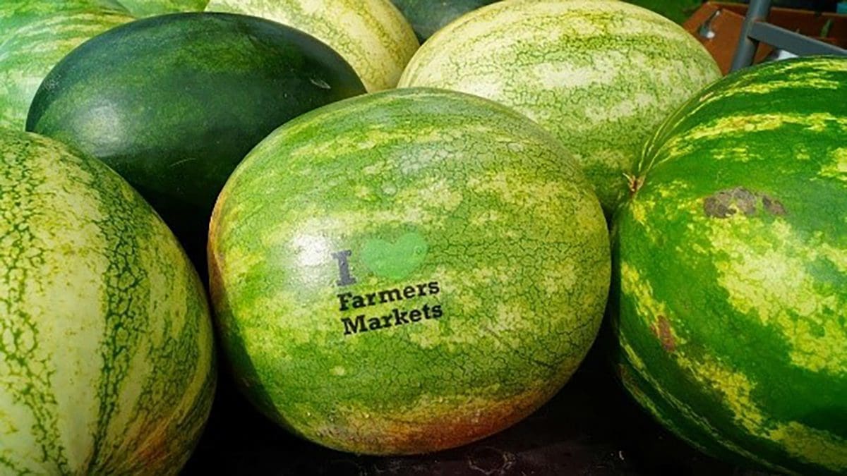 Yorktown Market Days