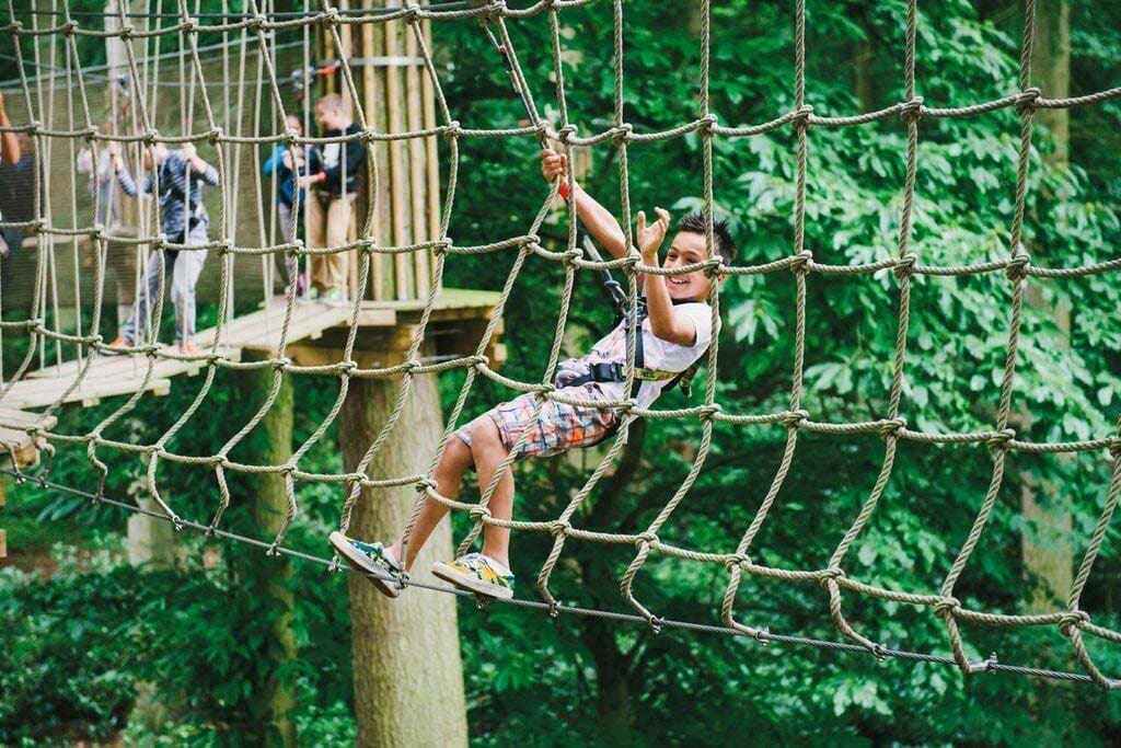 Go Ape Freedom Park