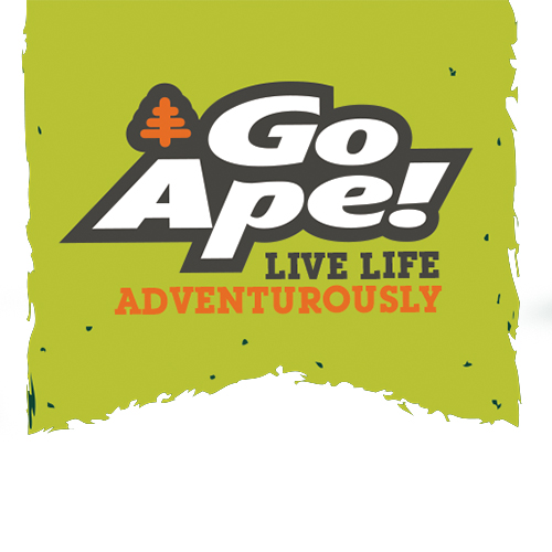 Go Ape Treetop Adventures