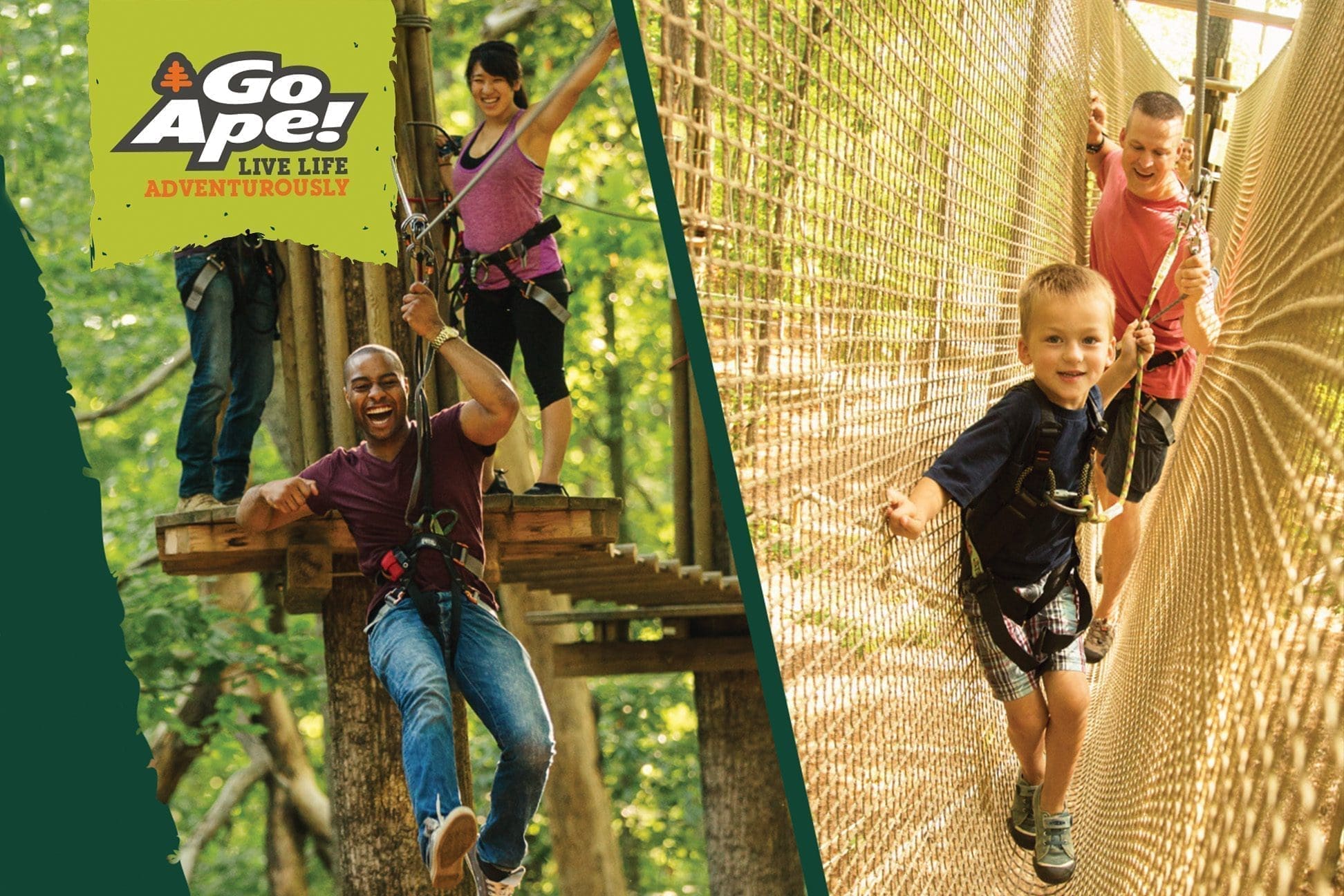 Go Ape Treetop Adventures