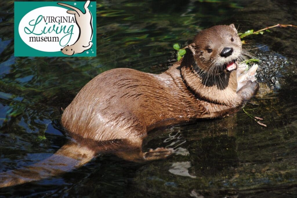 virginia living museum