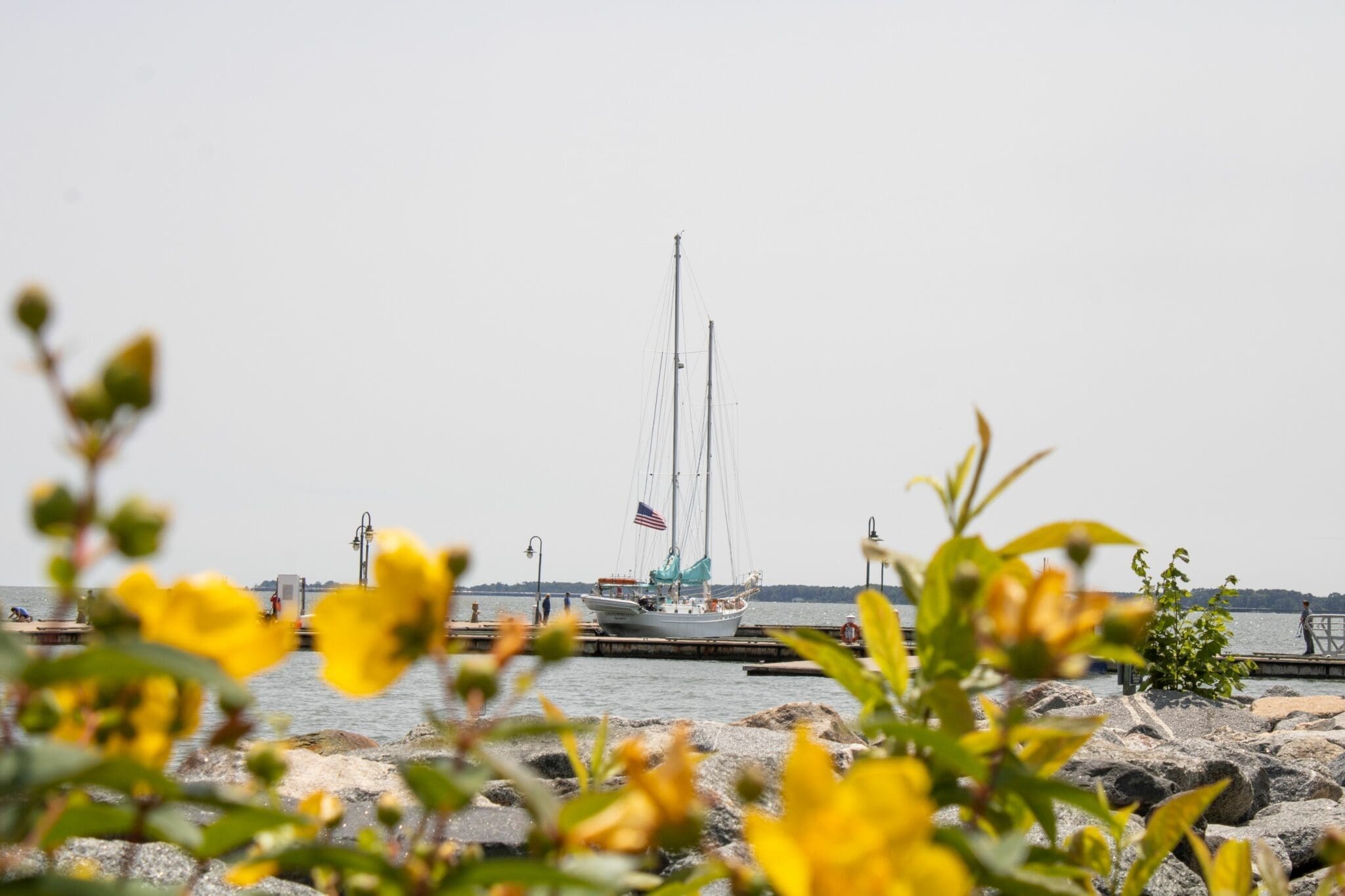 Schooner Alliance II