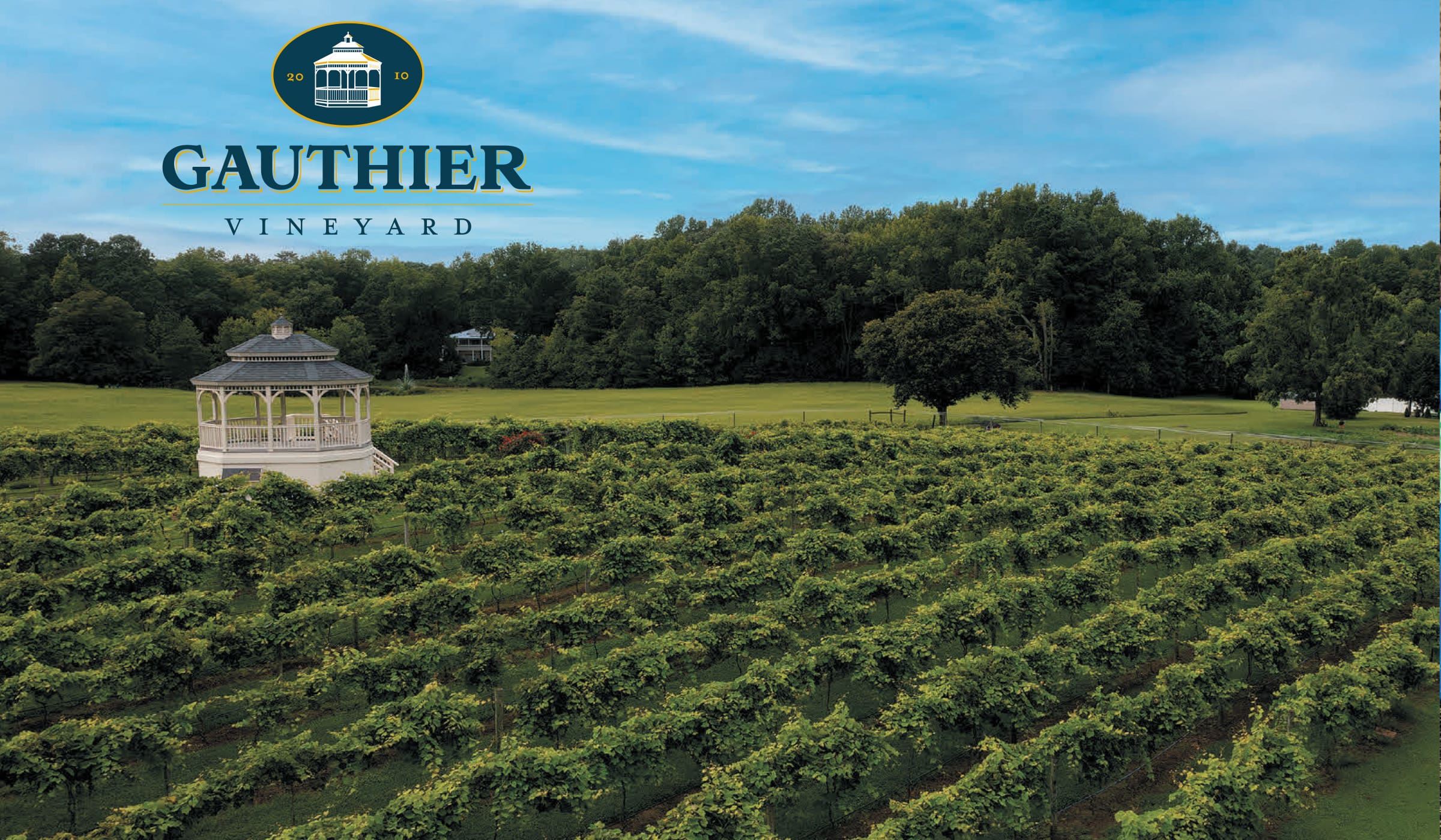 Gauthier Vineyard