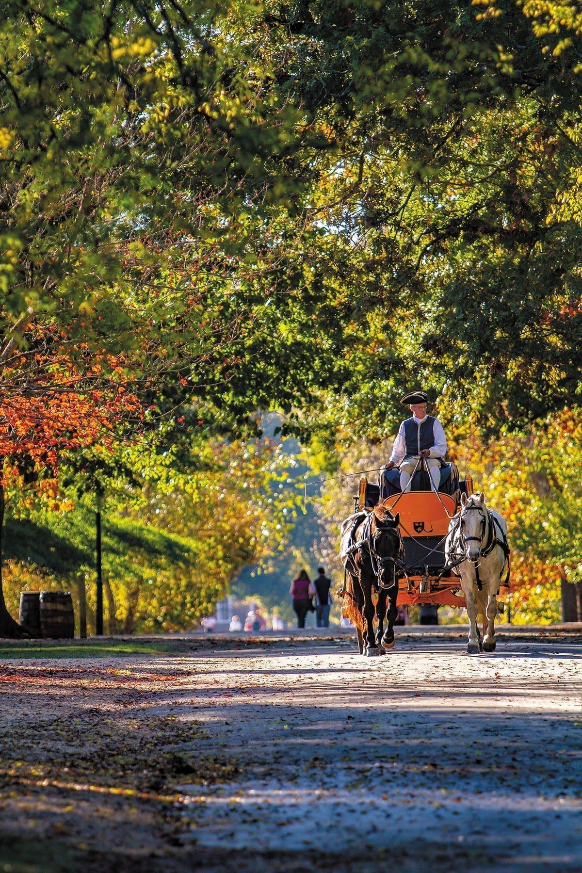 williamsburg virginia carriage ride during last summer early fall