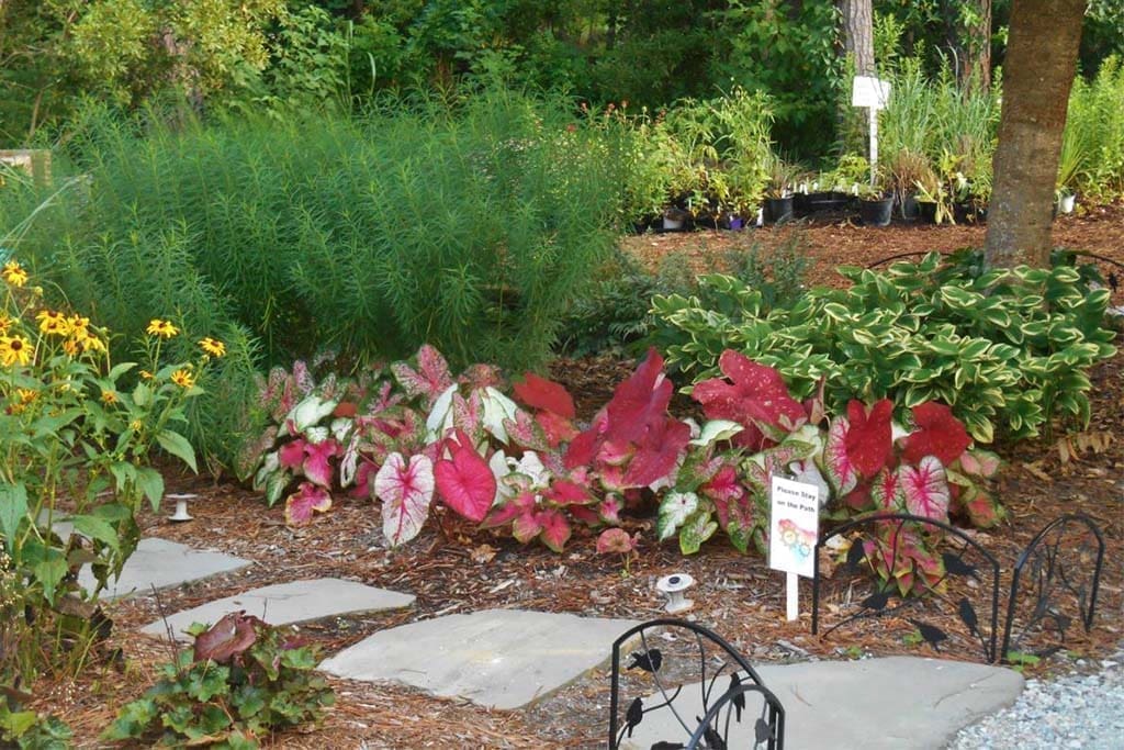 Williamsburg Botanical Garden